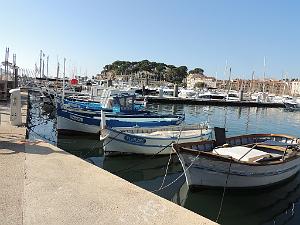2024 11 02 EN FLANANT SUR SANARY (45)